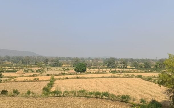 गावाकडील एक सुंदर दृष्य