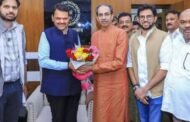 पवारांच्या अनुपस्थितीत फडणवीस ठाकरे भेट राजकीय वर्तुळात खळबळ !