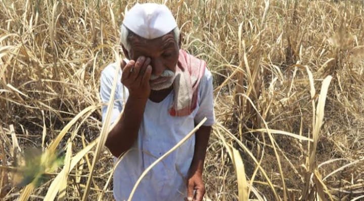 शेतकऱ्यांचा सातबारा कधी होणार कोरा, शेतकरी कर्जमाफीच्या प्रतीक्षेत.