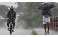 रविवारपासून पुढचे सहा दिवस राज्यात पुन्हा पावसाचा जोर.
